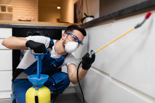 Best Cockroach Control Services  in Hauppauge, NY