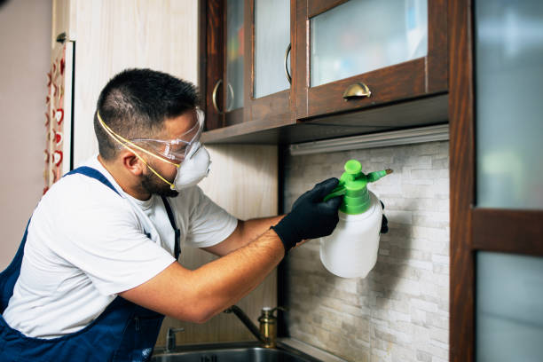 Best Residential Pest Control  in Hauppauge, NY