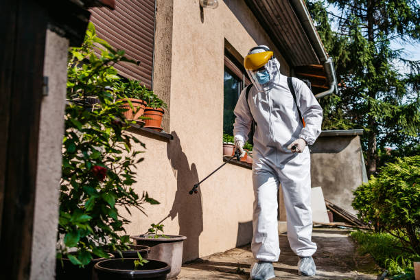 Best Pest Control Treatment  in Hauppauge, NY