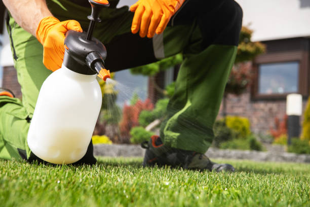 Best Wildlife Control Services  in Hauppauge, NY