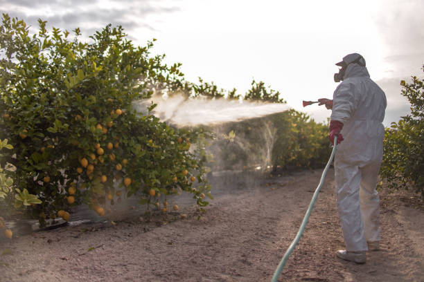 Trusted Hauppauge, NY Pest Control Experts
