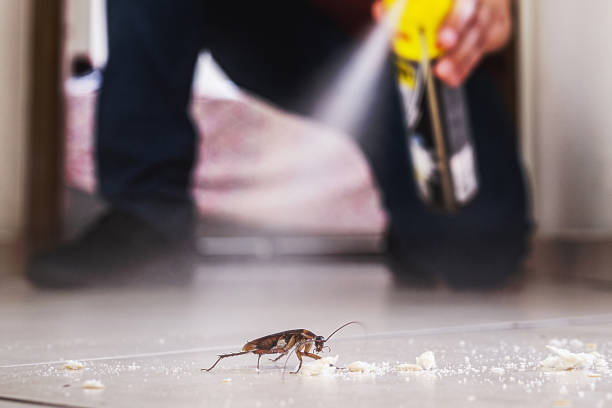 Best Best Pest Control Companies  in Hauppauge, NY