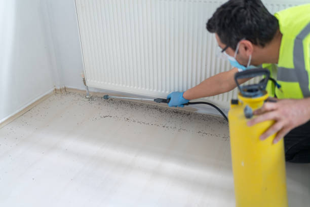 Best Pest Control Near Me  in Hauppauge, NY