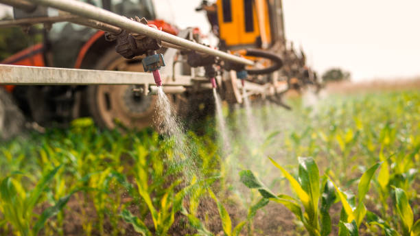 Best Pest Control for Businesses  in Hauppauge, NY