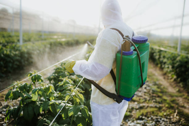 Best Insect Control  in Hauppauge, NY